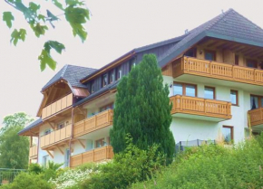 Отель Hochtalblick  Бернау Шварцвальд